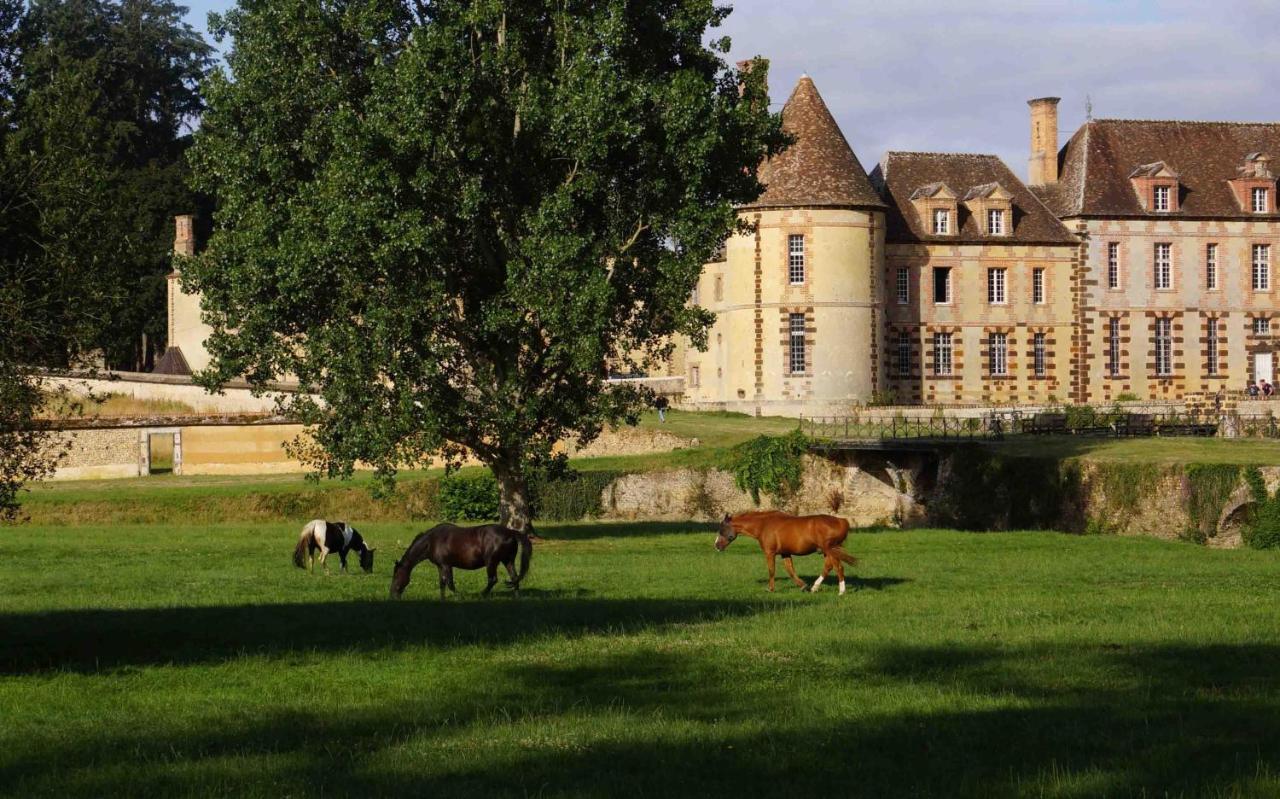 Chateau De La Riviere Bed and Breakfast Pontgouin Buitenkant foto